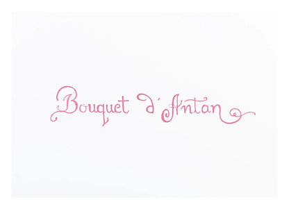 Traditional pen ink in bottle D 30ml - bouquet of old