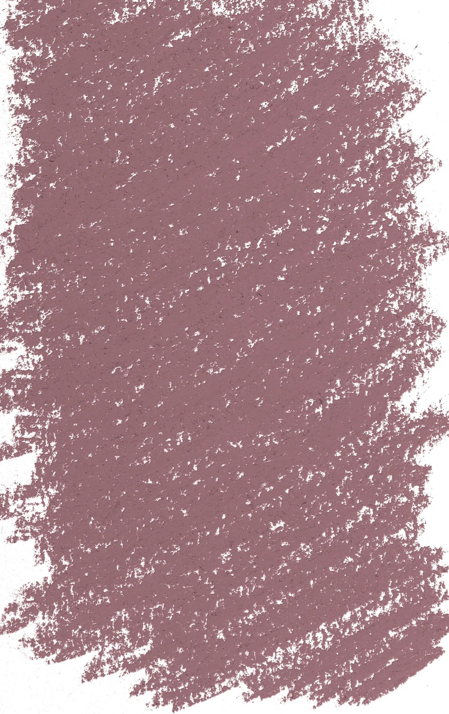 Giant Pastel - Dead Head - tinted 3 353
