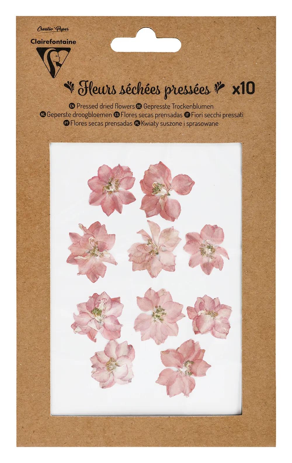FLEURS SÉCHÉES PRÉSSÉES, Pochette de 10 pièces - Rose (lot de 5)