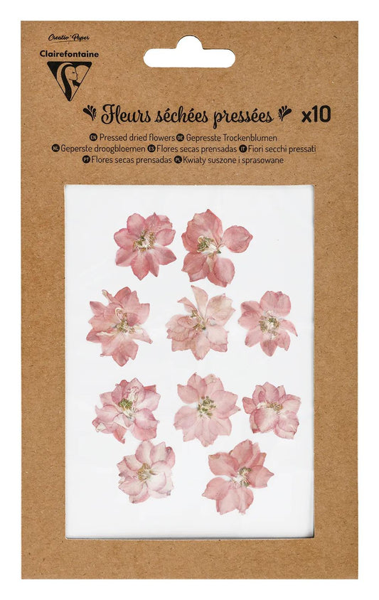 FLOWERS, SIZE von 10 Stück - Pink (Paket x5)