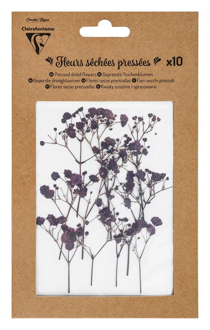 FLEURS SÉCHÉES PRÉSSÉES, Pochette de 10 pièces - Lavande (lot de 5)