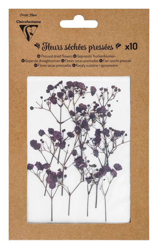 DRY FLOWERS, Packung mit 10 Stück - Lavender (Paket x5)