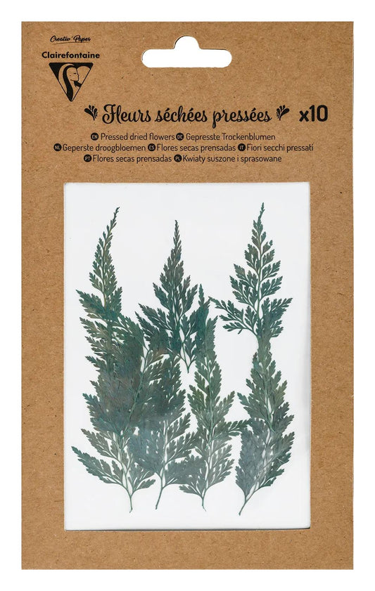 FLOWERS, SIZE 10 Stück - Grün (Paket x5)