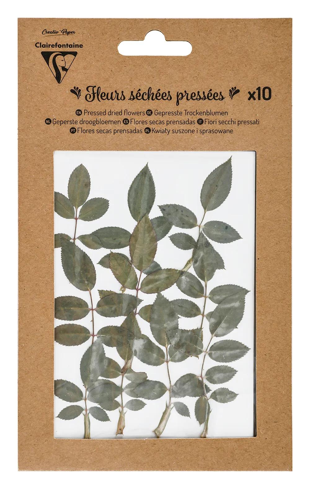 FLOWERS, SIZE OF 10 pieces - Green (Pack x5)