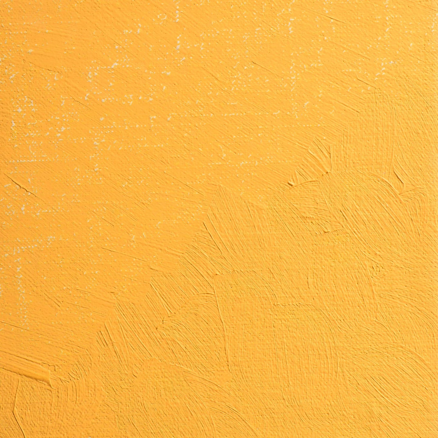 Extra-fine oil paint tube 20ml - Dark shiny yellow 215