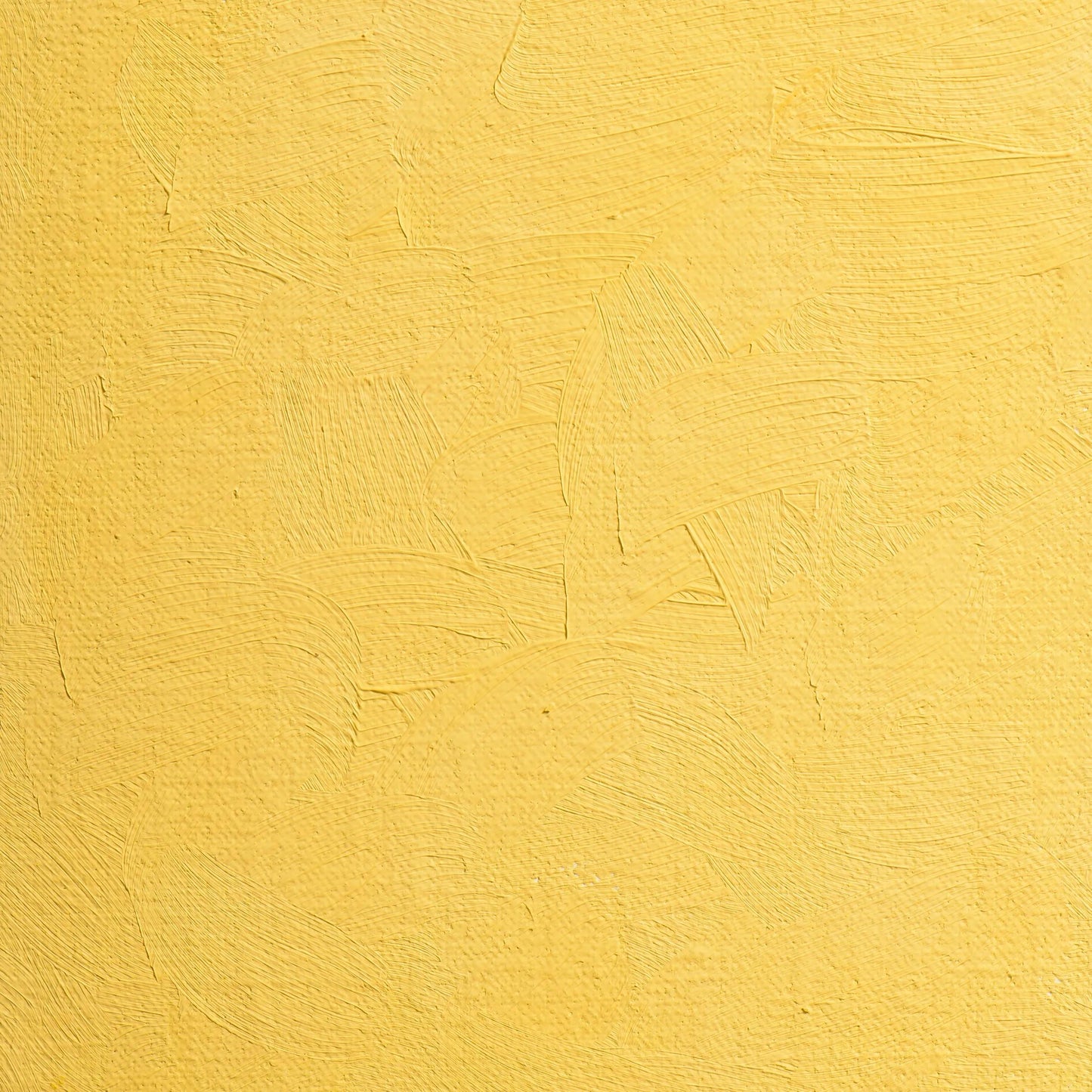 Extra-fine oil paint tube 20ml - Yellow from Naples 411 (Pack x3)