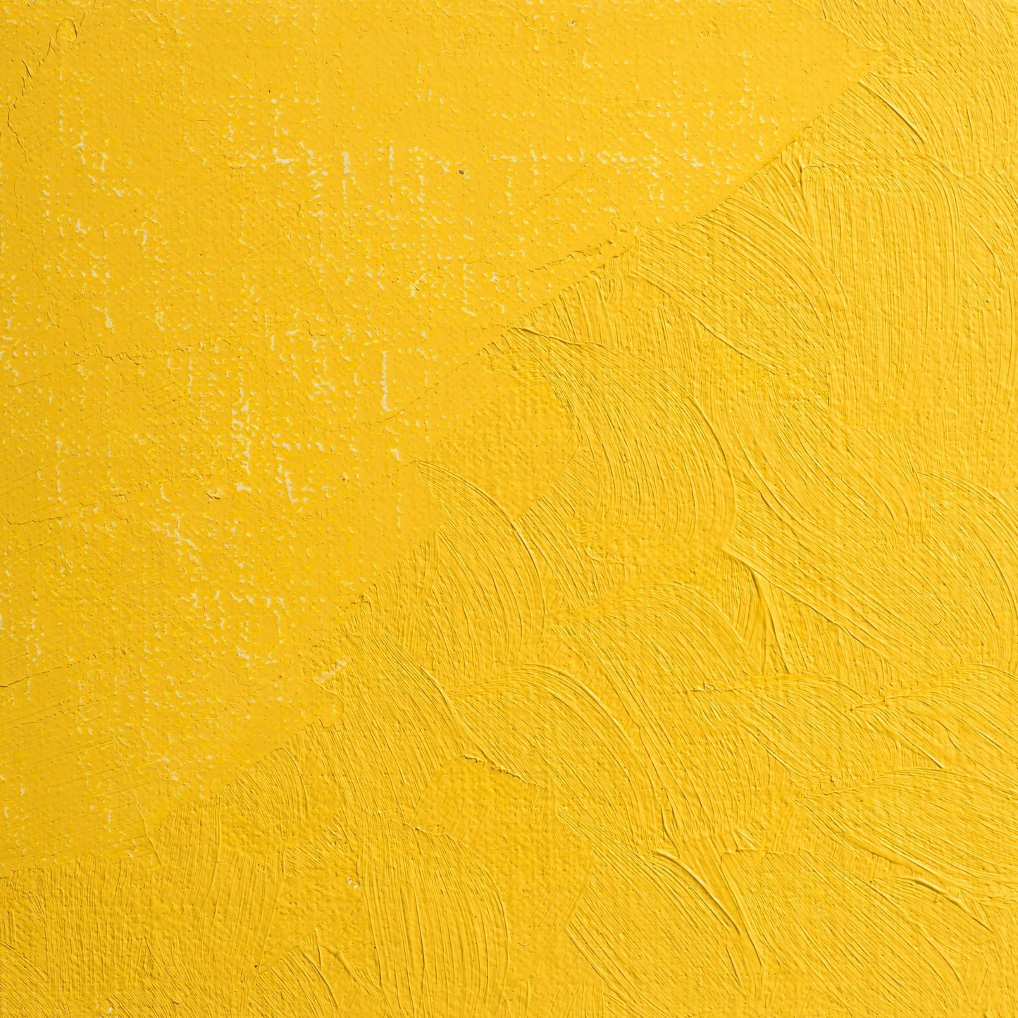 Extra-fine oil paint tube 20ml - Yellow from Naples 411 (Pack x3)
