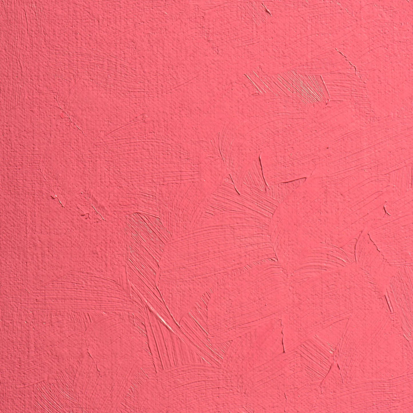 Extra-fine oil paint tube 35ml - Pink lacquer (Lot x3)