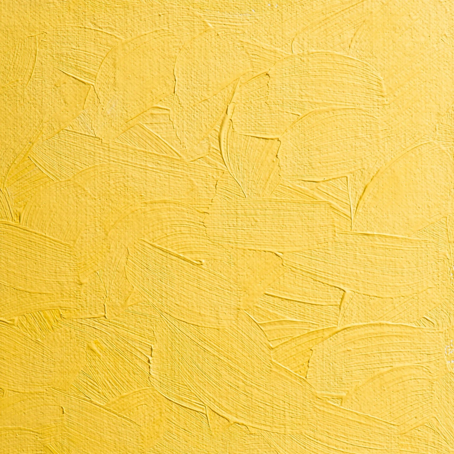 Extra-fine oil paint tube 200ml - Light gloss yellow