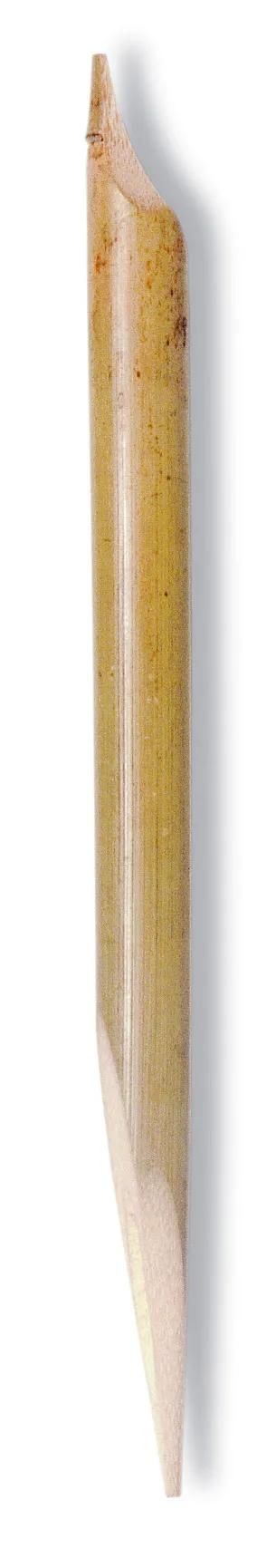 Large calame model (Pack x10)