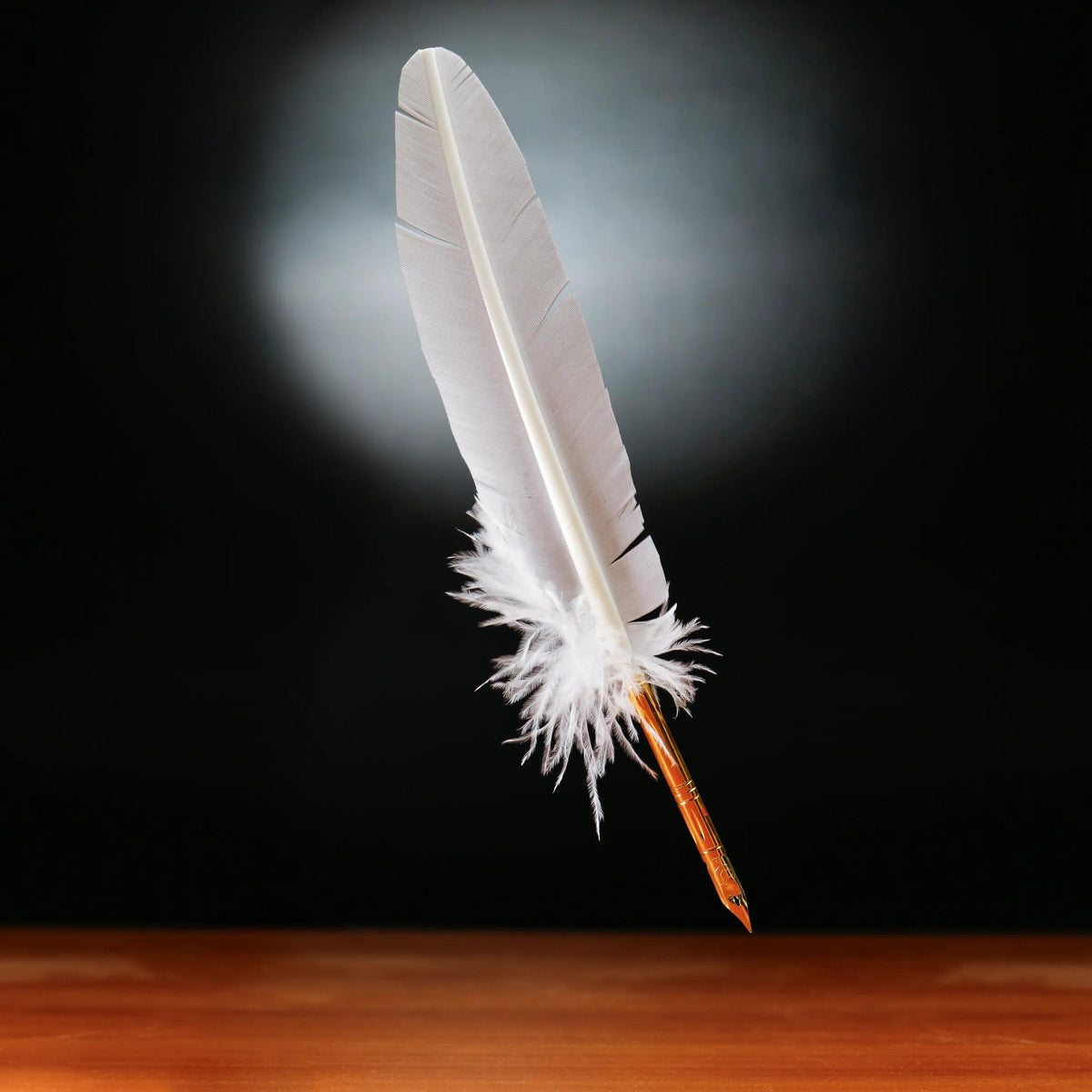 PLUME D'OIE+PLUME METAL SUR BROCH - Blanc (Lot x10)