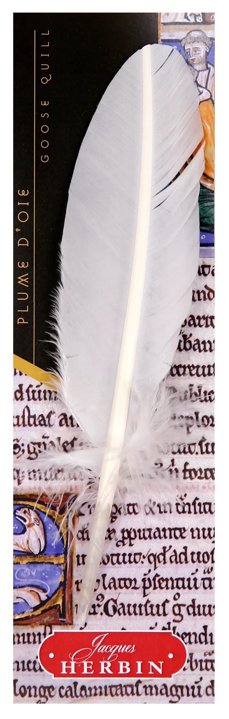 Tagliare la piuma d'oca sul perno - Bianco (Pacchetto x10)