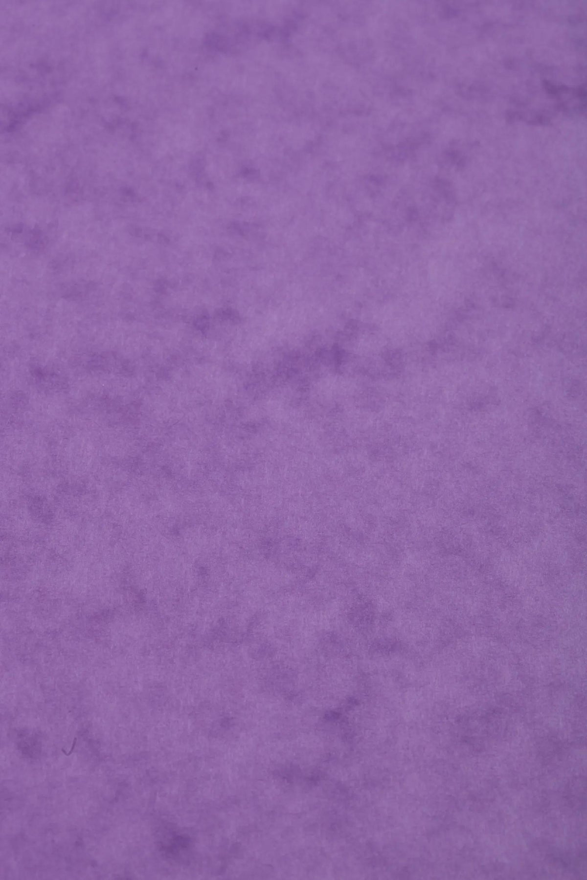 Carta Europa pacchetto 50F A3 256g - Lilas (Pacchetto x50)