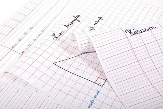 FLAX PAPER, Pack of 25 sheets DL 3mm 90g/m2 in 60x80cm format