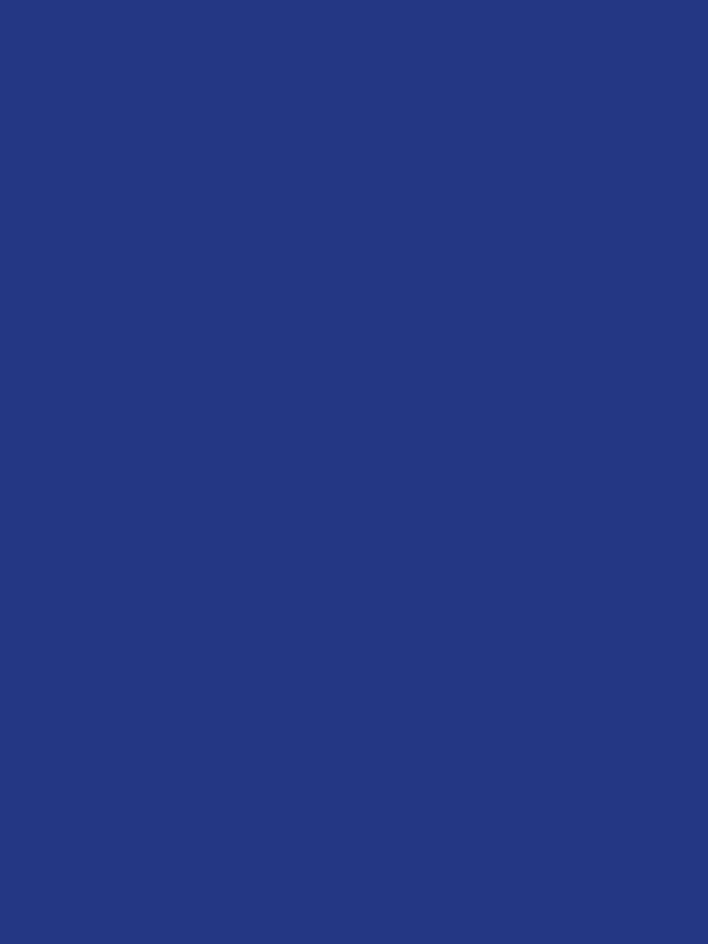 PAPIER FIFCH PEINT, Pack of 25 sheets 90g/m2 in 60x80cm format - Marine blue