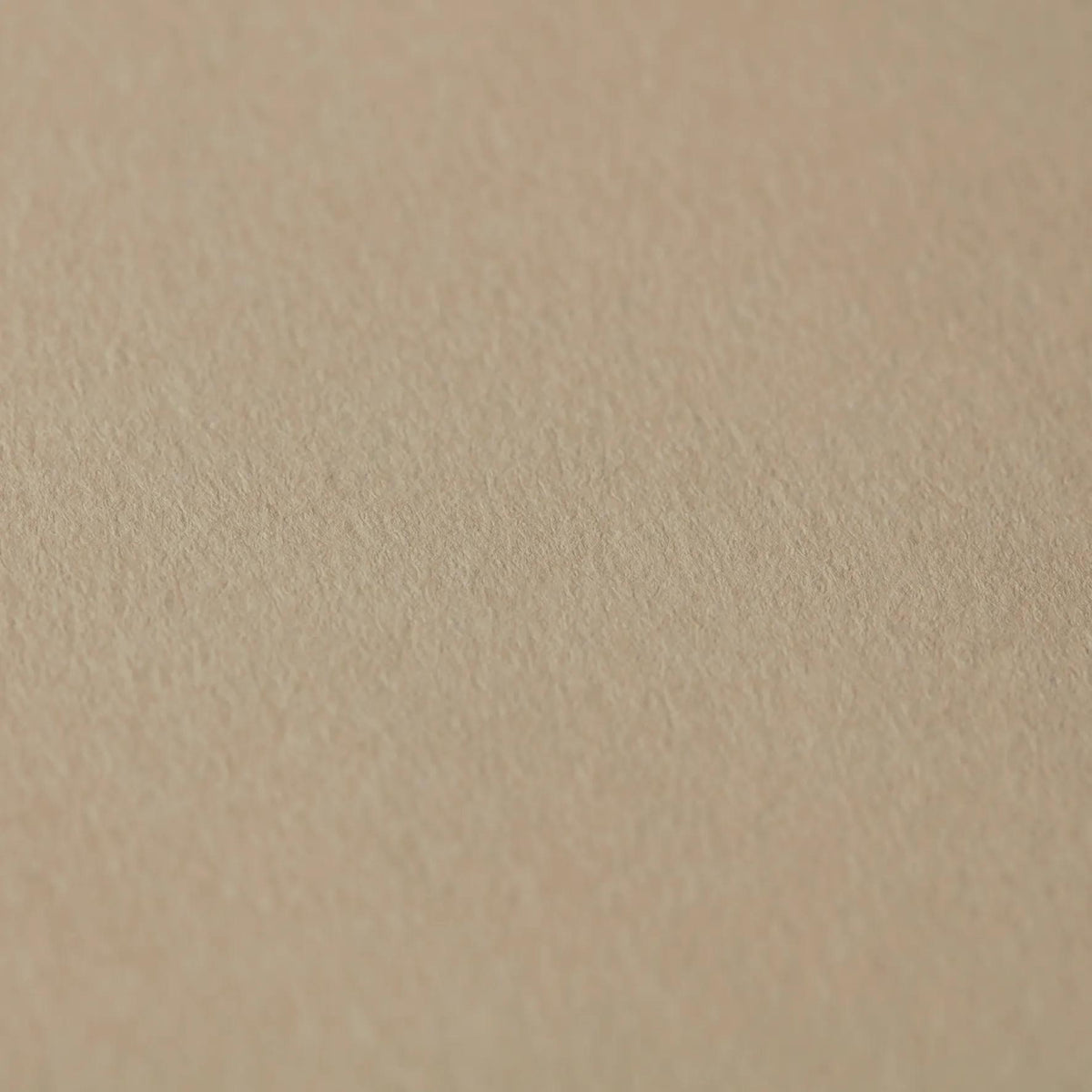 Nova Series carnet spiralé 50F 17,8x25,4cm 150g - Beige (lot de 2)