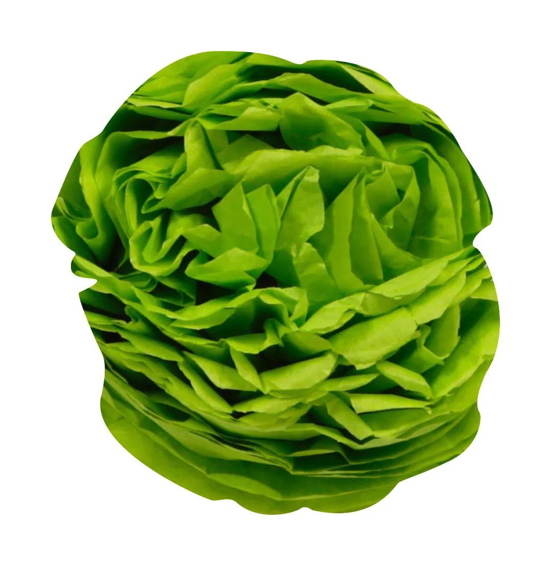 PAPIER DE SOIE, Rouleau de 24 feuilles 18g/m2 au format 50x75cm - Vert pomme (Lot x5)