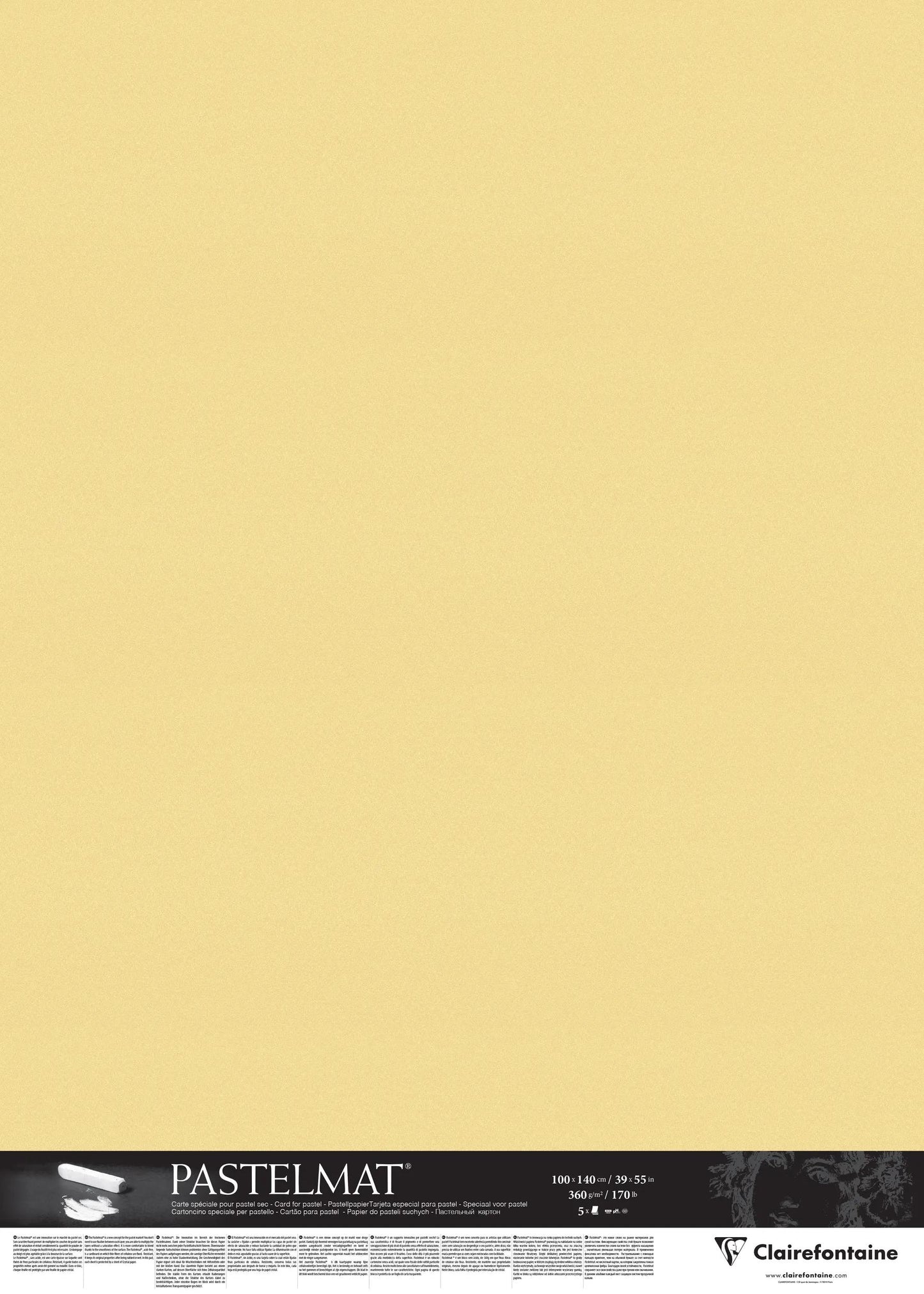 Confezione pastello 5F 100x140cm 360g - Pulsante dorato