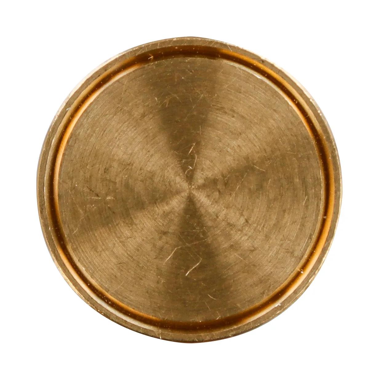 LAITON PASTILLE ON BROCHE 24mm - Jungfrau (Paket x3)
