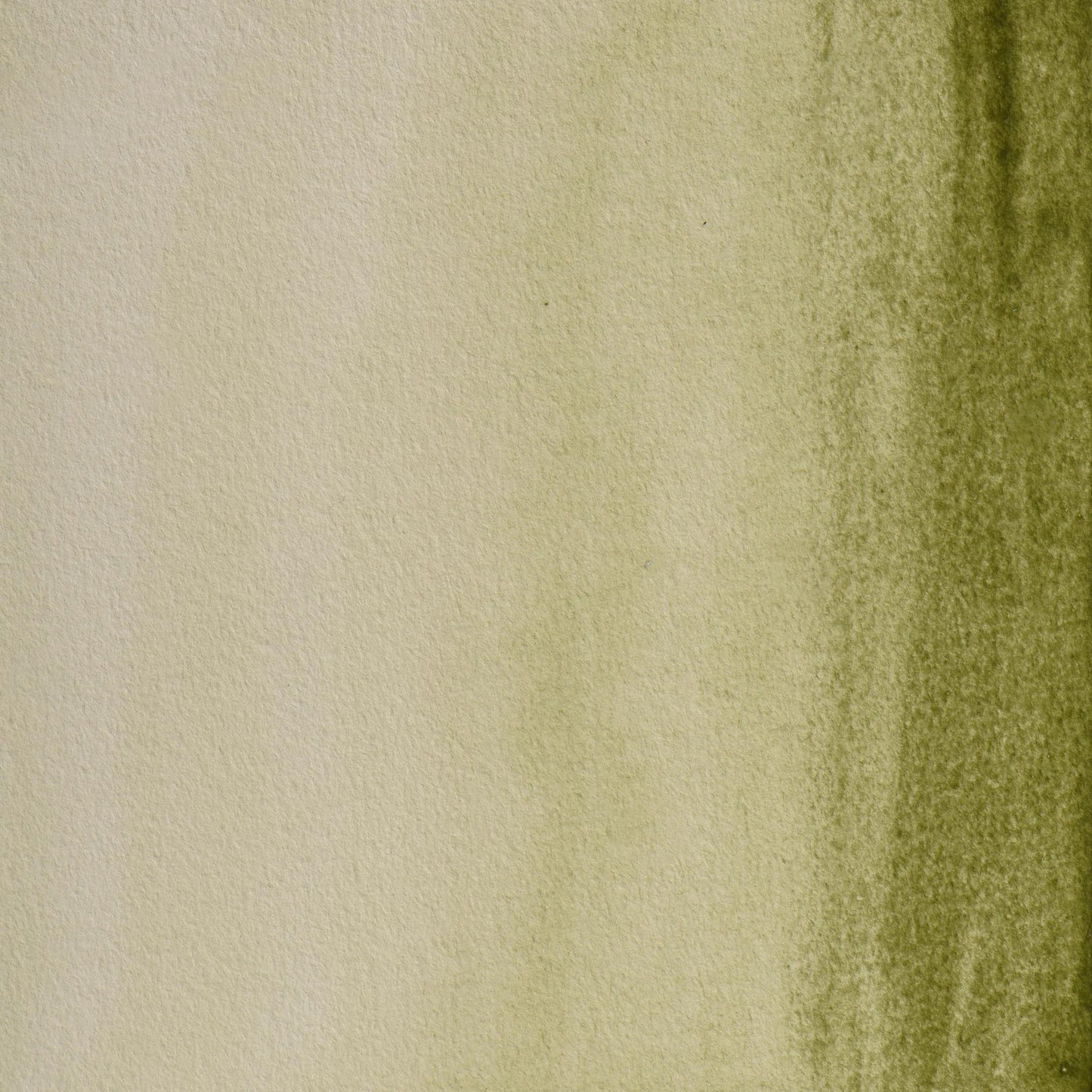 Aquarelle extra-fine half-godet - Green Earth 161 (Pack x3)