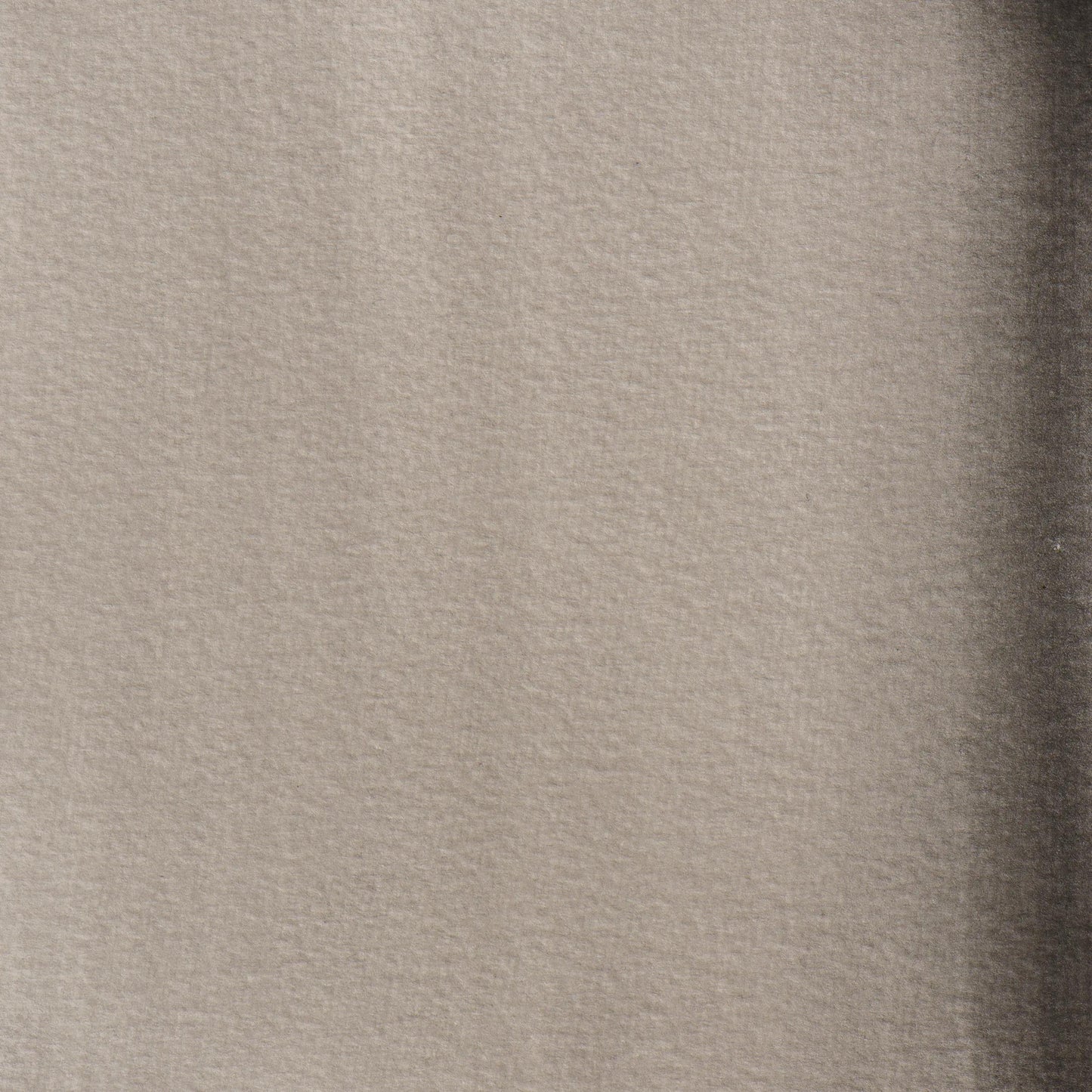 Extra-fine watercolor half-godet - Black ivory 171 (Pack x3)
