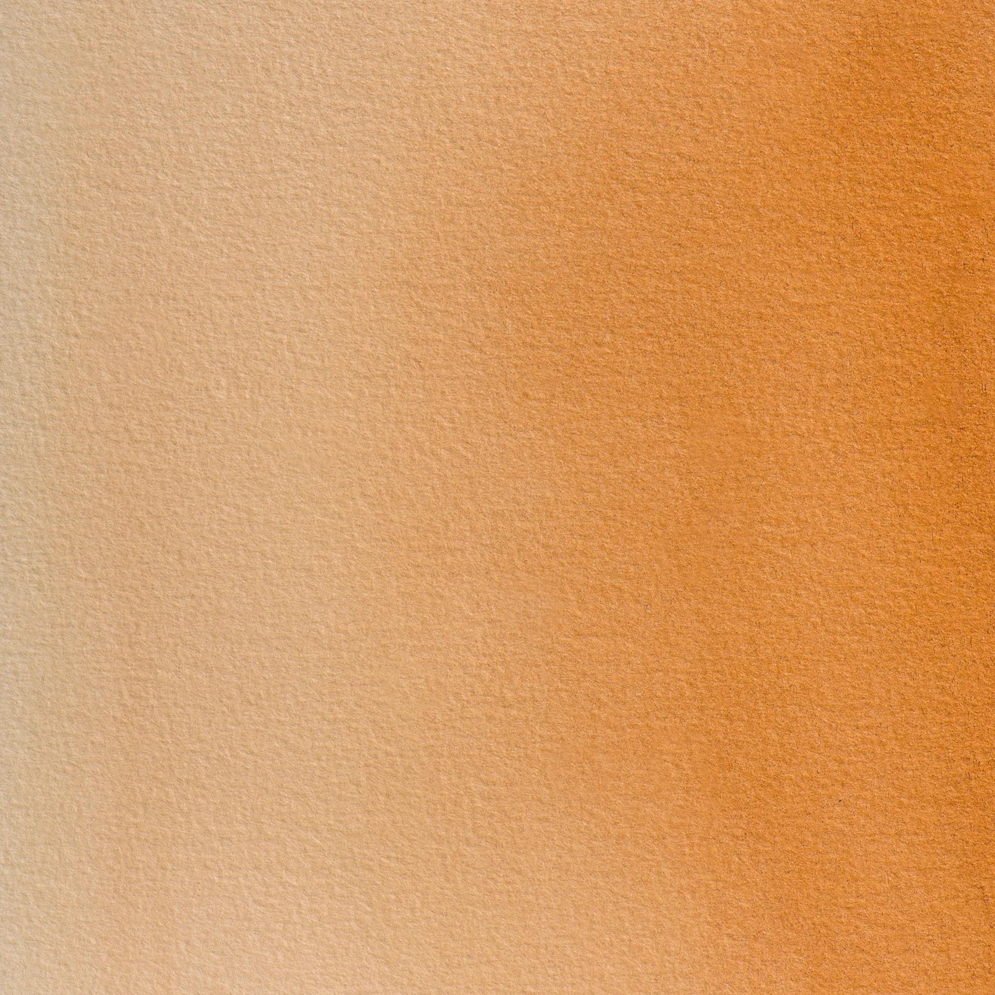 Aquarelle extra-fine half-godet - Brun de mars transp. 242 (Pack x3)