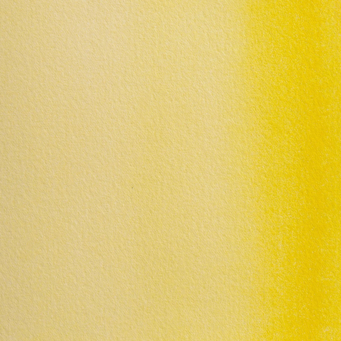 Extra-fine half-godet watercolor - Pale Cadmium 311 (Pack x3)