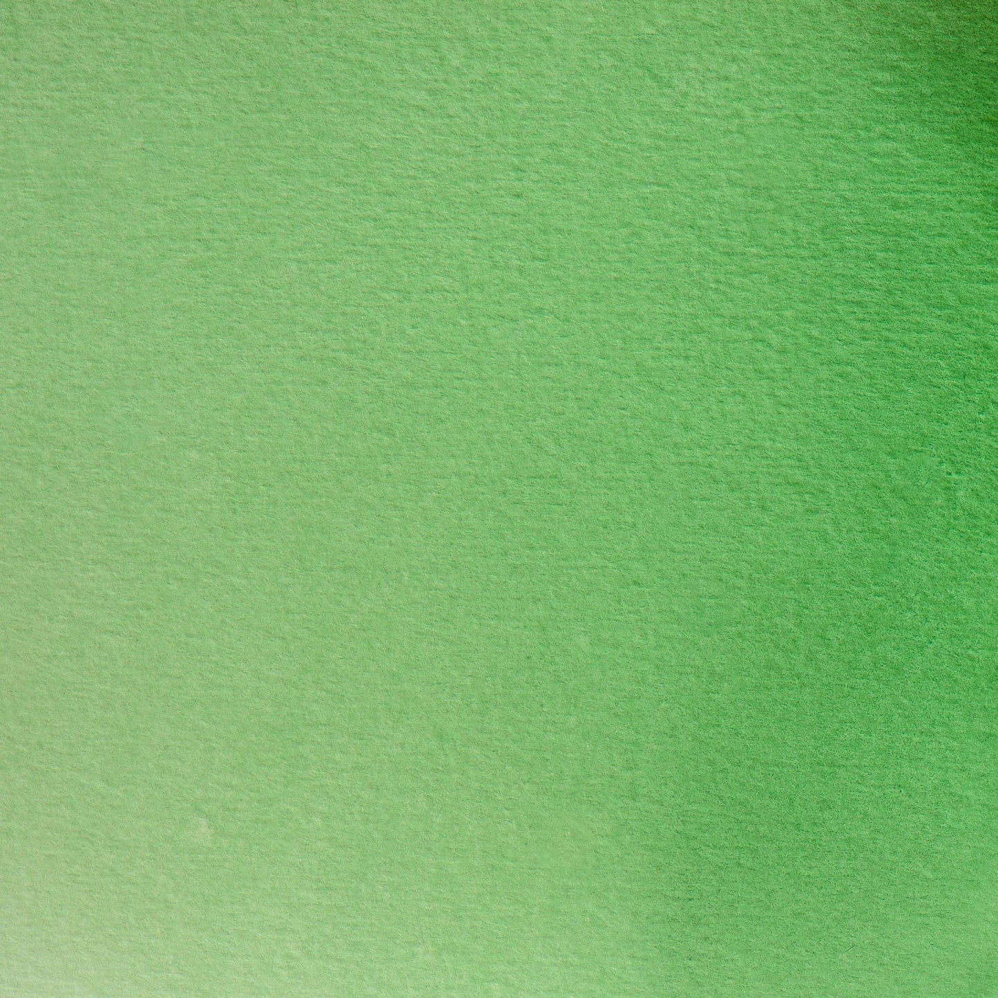 Aquarelle extra-fine half-godet - Permanent green 362 (Pack x3)