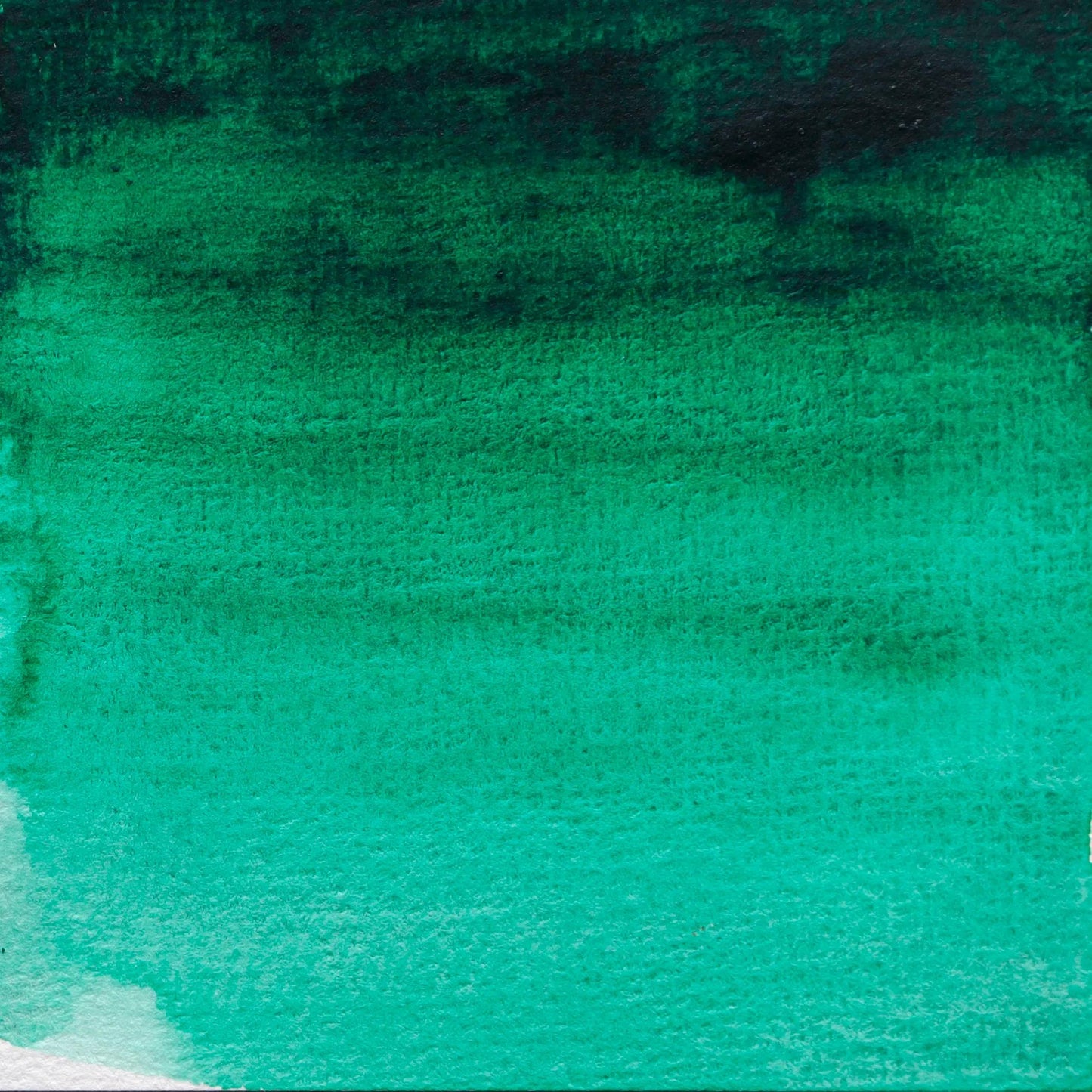 Extra fine watercolor tube 5ml - Green phthalo 165 (Pack x3)