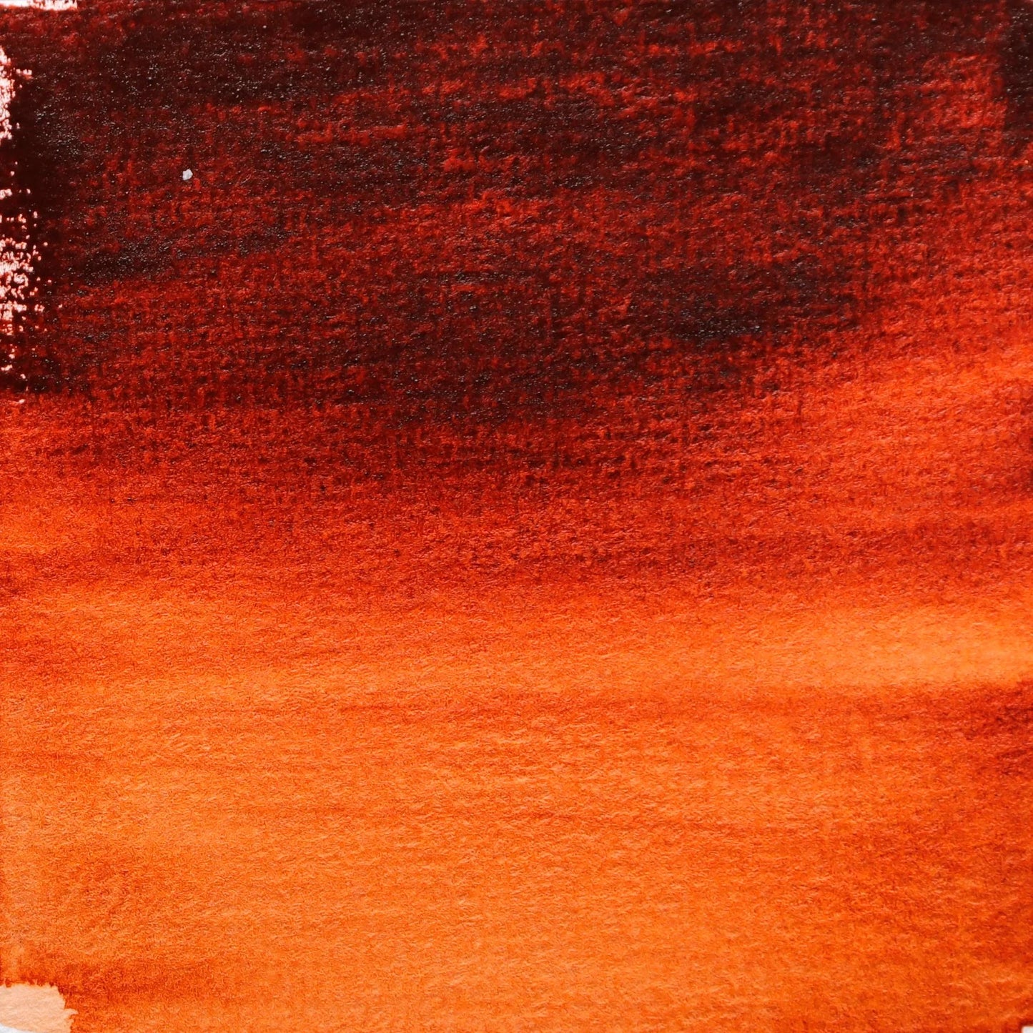 Extra-fine watercolor tube 5ml - Red of March transp. 224 (Pack x3)