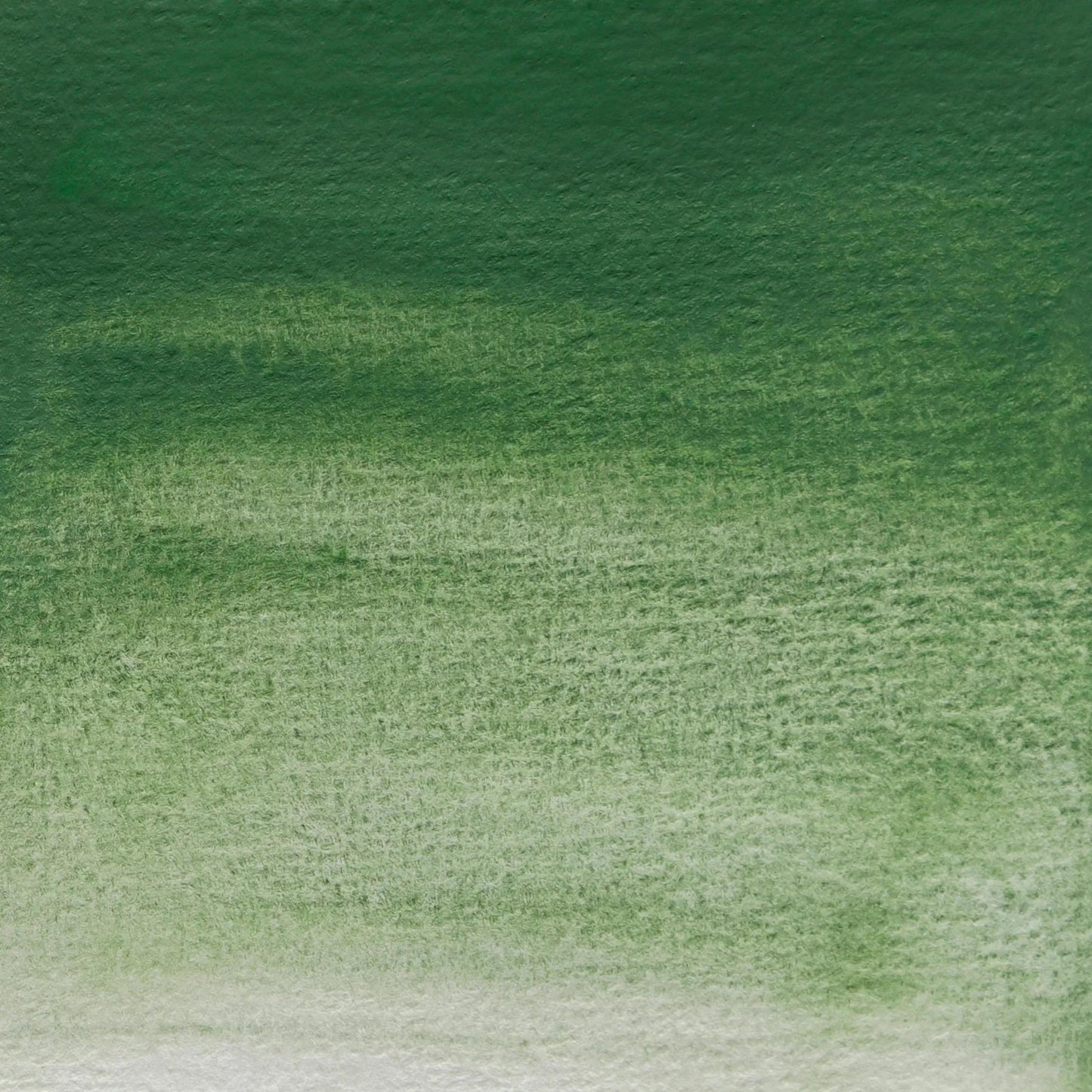 Extra-fine watercolor tube 15ml - Chrome Green 262 (Pack x3)