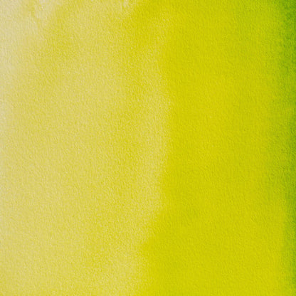 Aquarelle scopa gigante extra-fine - Oro verde