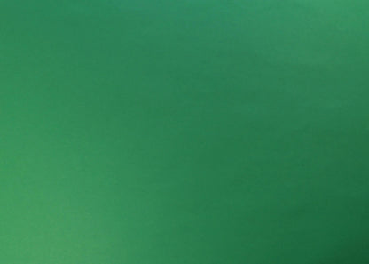 RECYCLE COLOUR PAPER, Confezione da 10 fogli 270g/m2 sotto/film in formato 50x65cm - Green Empire