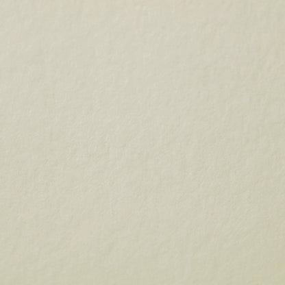 Serie Delta quaderno flessibile 26F 14x8,9cm 270g - Avorio (confezione da 2)