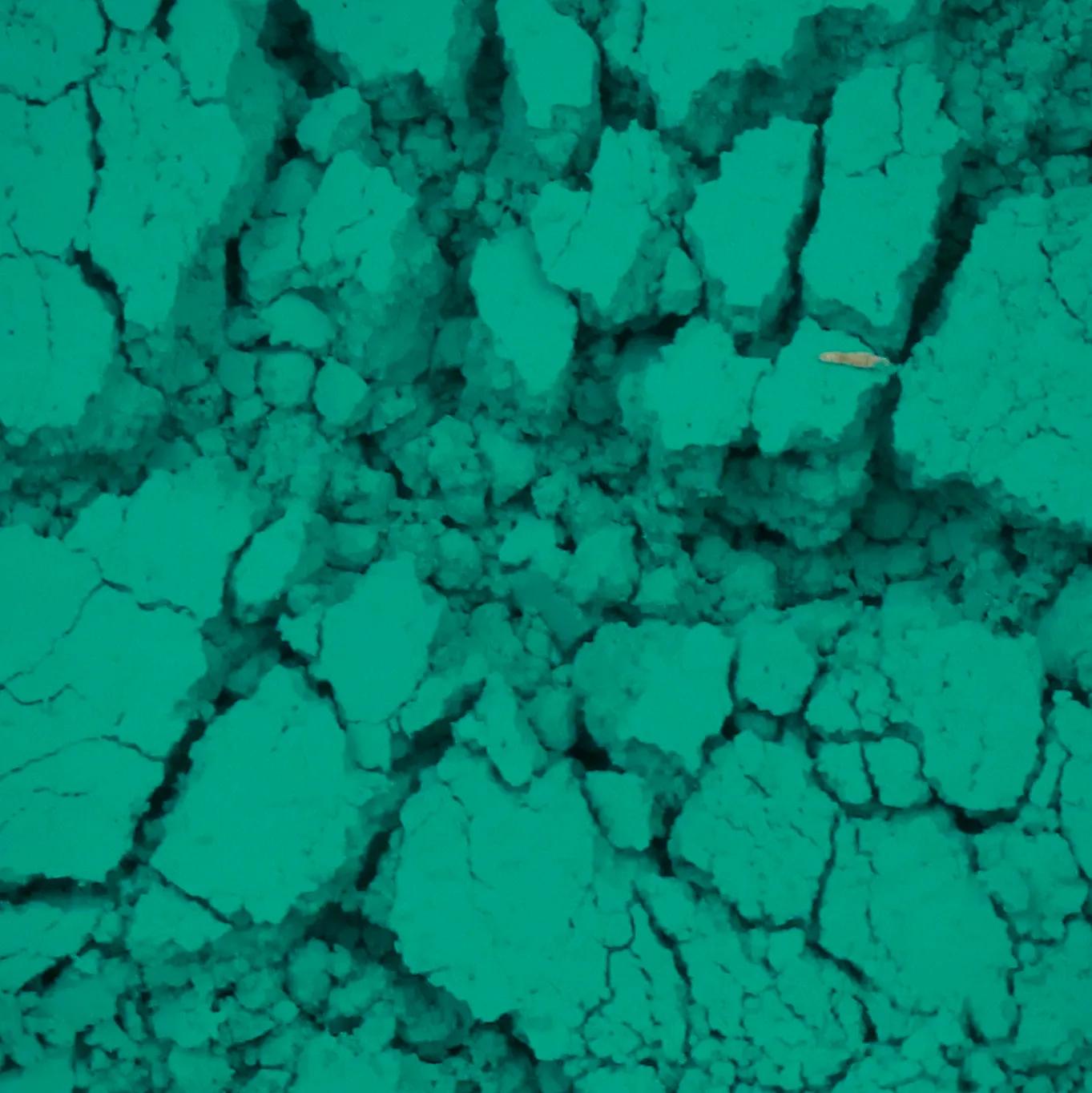 Pigment - Emerald green 100 ml / 40 g