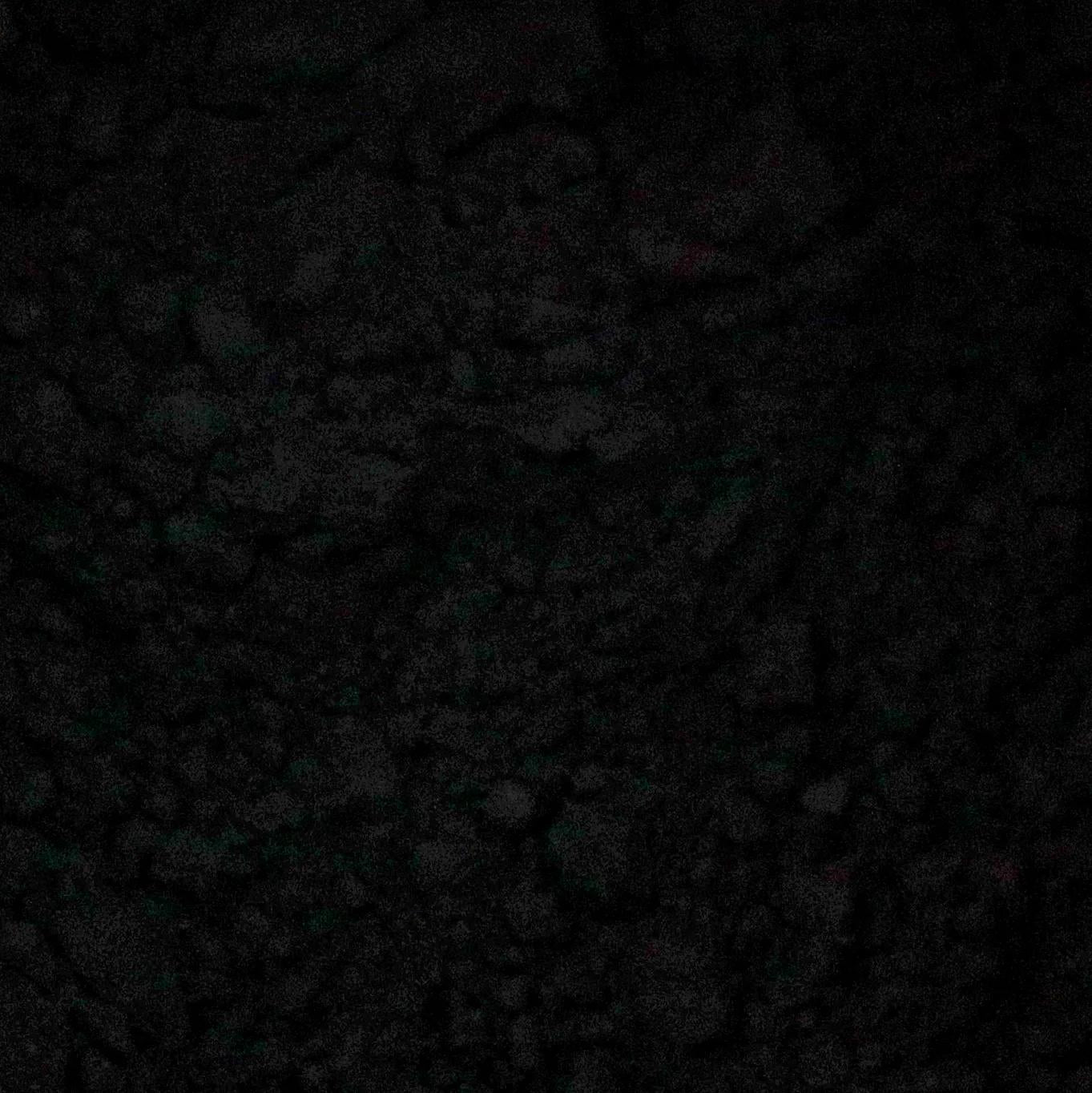 Pigment - Black vine 100 ml / 70 g