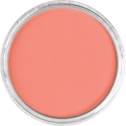 PanPastel 310.6 Vermilion Medium