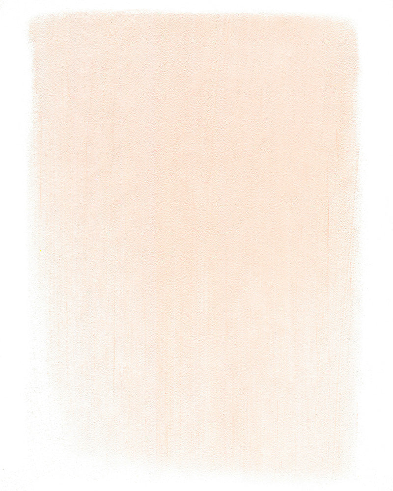 PanPastel 310.8 Vermilion Tint