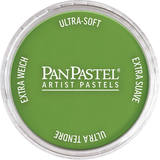 PanPastel 690.3  Vert Jaune fonce (Lot x3)