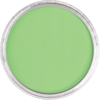 PanPastel 690.7 Gelbgrün Hell (Paket x3)