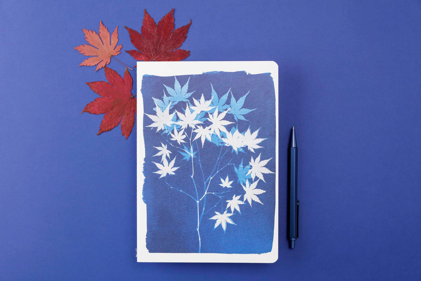 Cyanotype, Sewn Book A5 wire 14,8x21 cm, 64 pages, lineed, ass. (Pack x9)