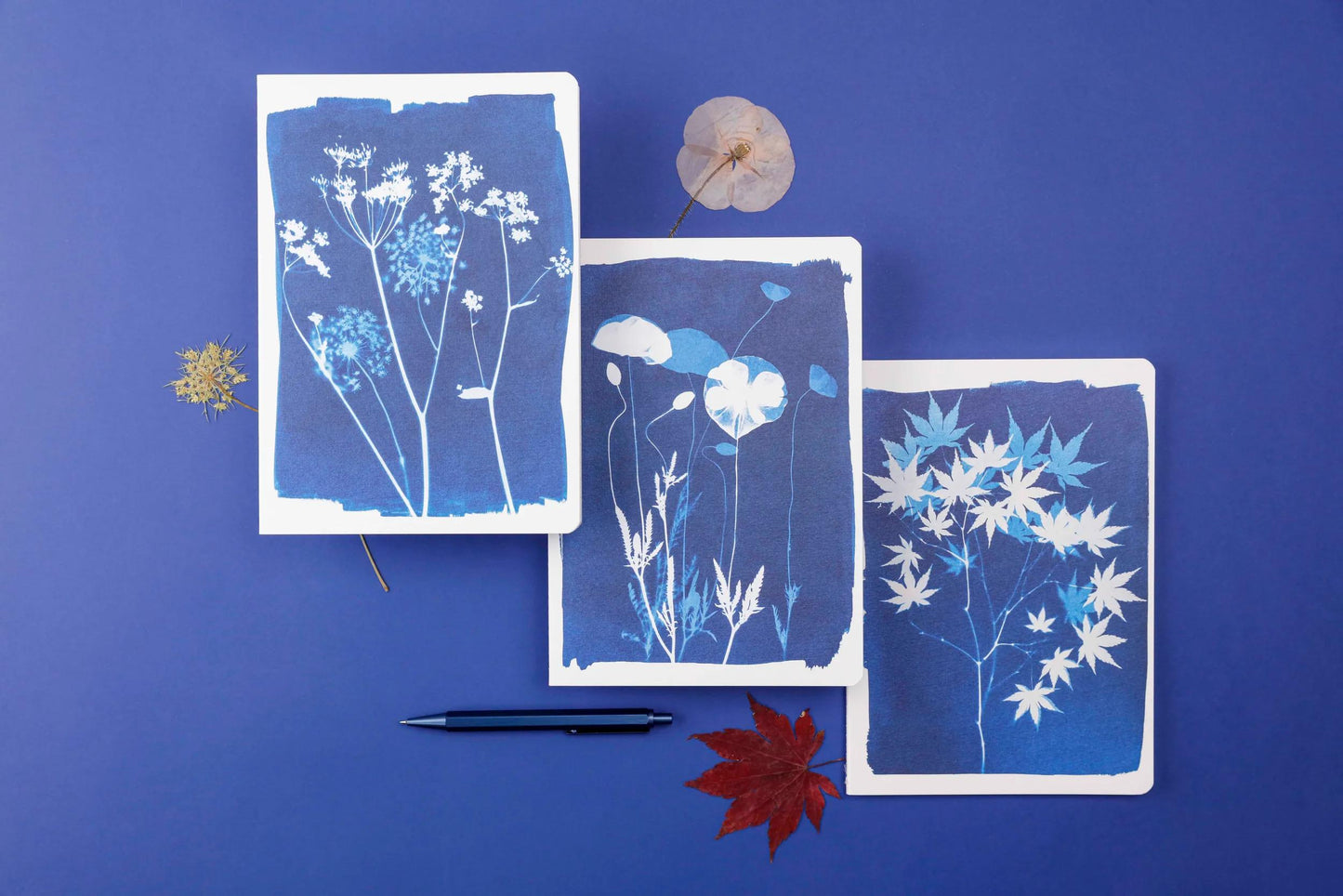 Cyanotype, Sewn Book A5 wire 14,8x21 cm, 64 pages, lineed, ass. (Pack x9)