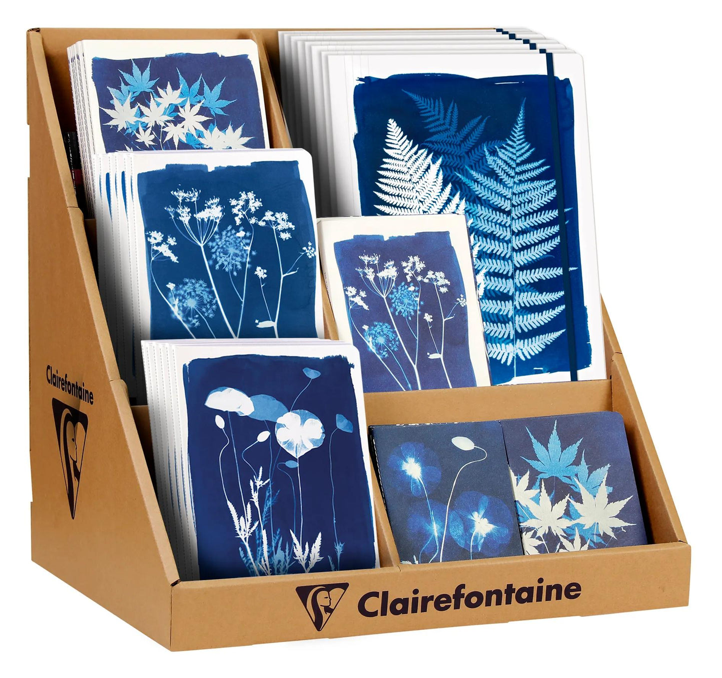 Cyanotype, cardboard counter display