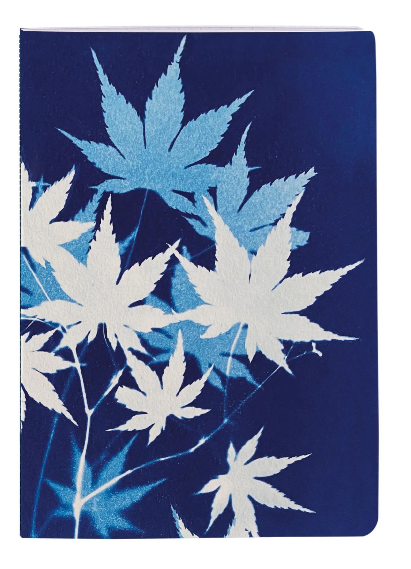 Cyanotype, Carnet cousu fil A6 10,5x14,8 cm, 64 pages, ligné, ass. (Lot x8)
