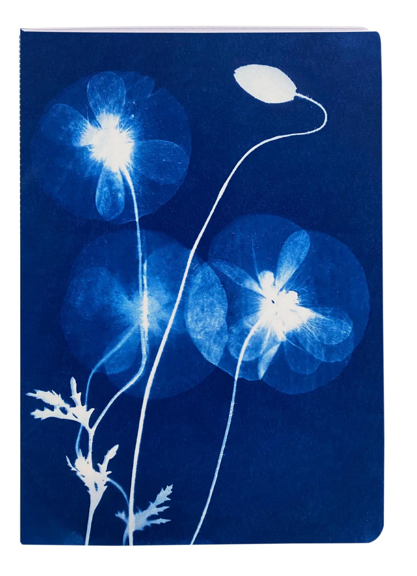 Cyanotype, Carnet cousu fil A6 10,5x14,8 cm, 64 pages, ligné, ass. (Lot x8)