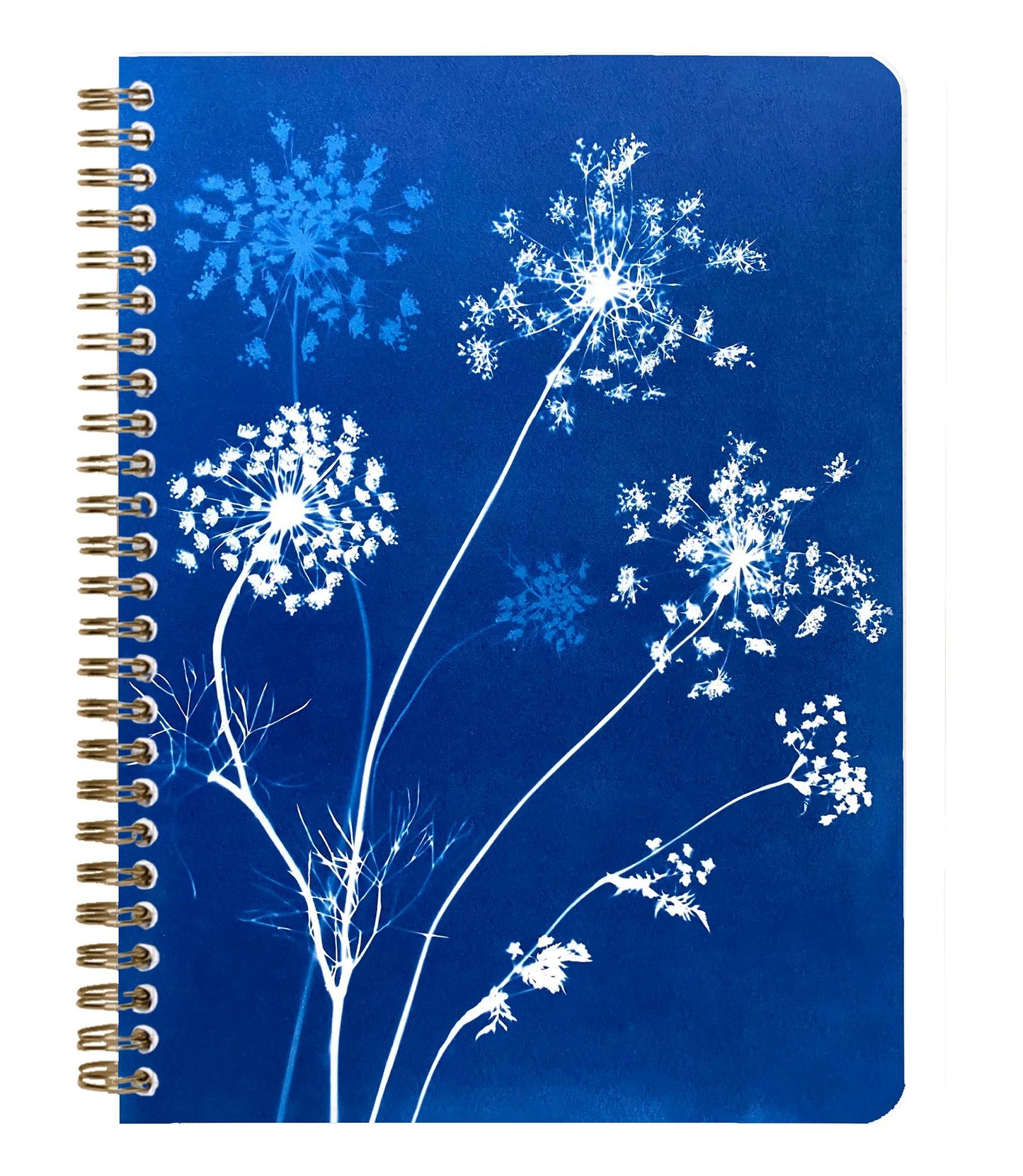 Cyanotype, A5 complete binder 14.8x21cm, 148 pages, lined, ass. (Pack x4)