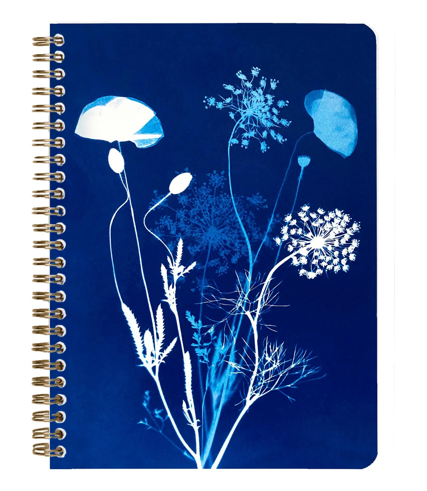 Cyanotype, A5 complete binder 14.8x21cm, 148 pages, lined, ass. (Pack x4)