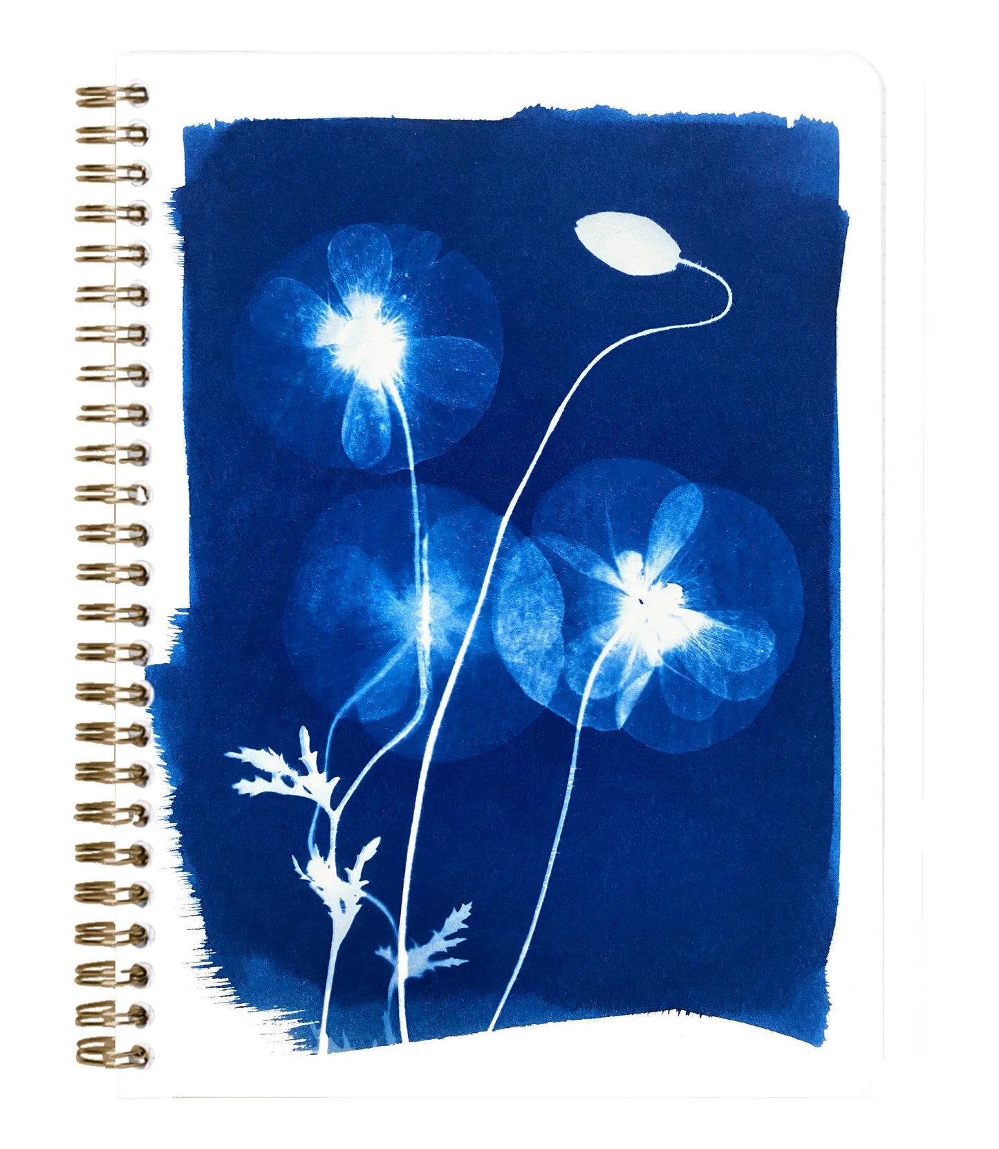 Cyanotype, A5 complete binder 14.8x21cm, 148 pages, lined, ass. (Pack x4)