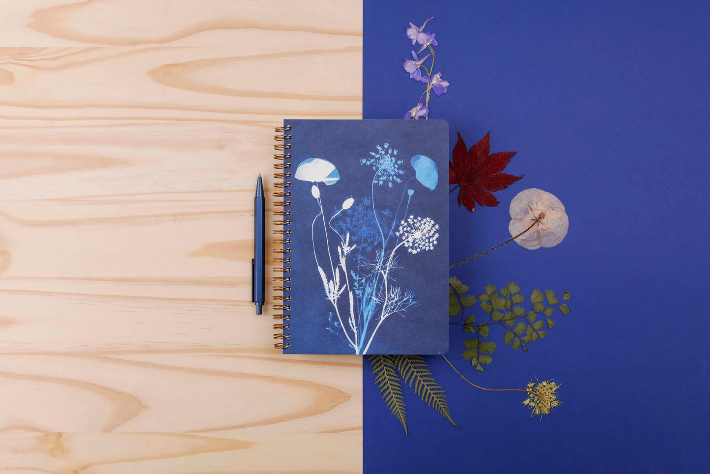 Cyanotype, A5 complete binder 14.8x21cm, 148 pages, lined, ass. (Pack x4)