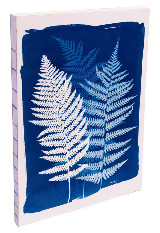 Cyanotype, Booklet flexible brochure A5 14,8x21 cm, 160 pages, line, raw back, ass. (Pack x4)
